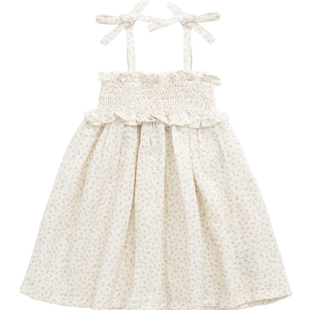 Jamie Kay Smocked Dress NWT